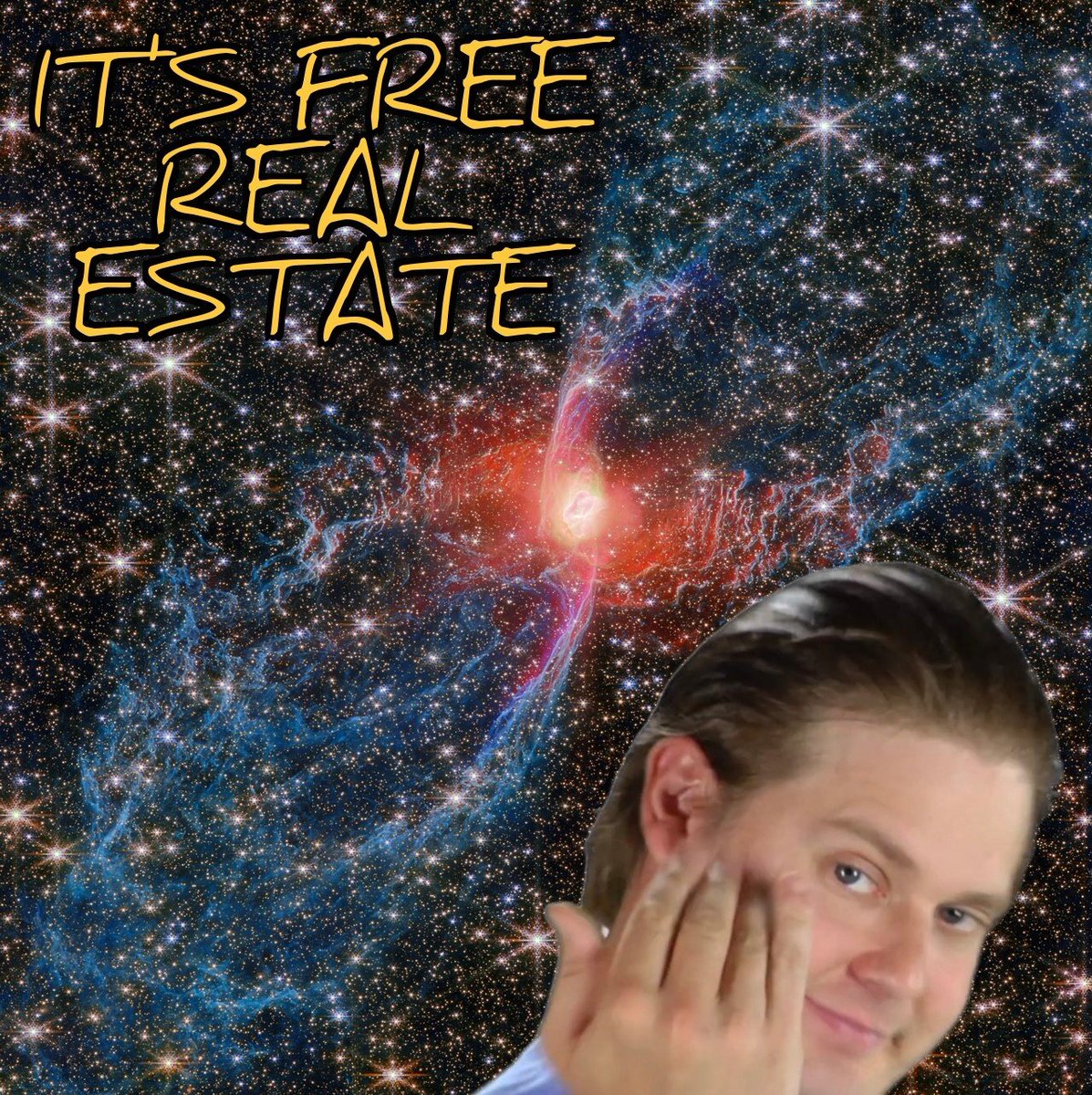 Space Koala tweet media