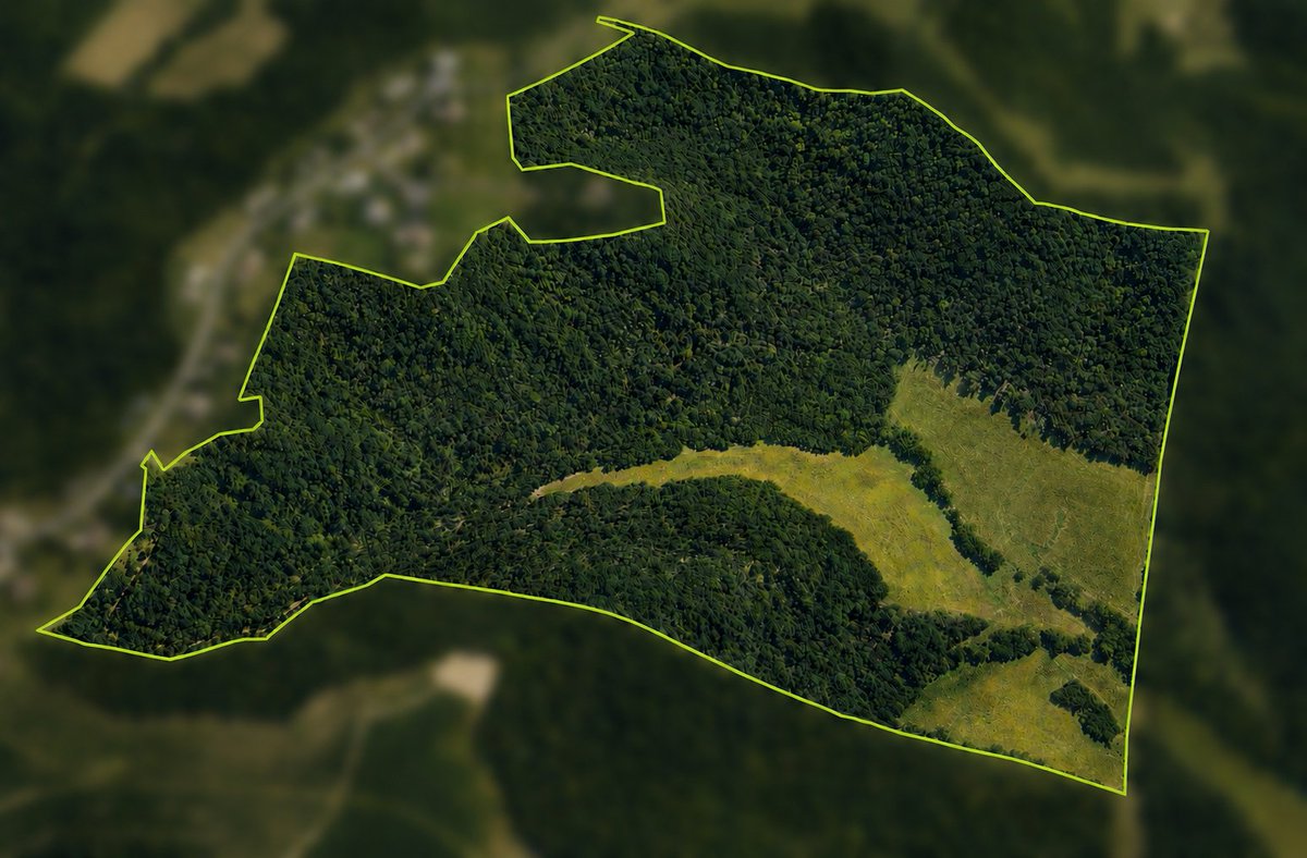 hlrbohunting's tweet photo. Just listed: 170 acres of Wisconsin Driftless — steep ridges and tight valleys that funnel deer instead of scattering them. The terrain that keeps putting WI bucks in the books.
https://t.co/pkUhUyliM6
#WisconsinHunting #WhitetailHunting #HLRBO https://t.co/P8oPtgrkln