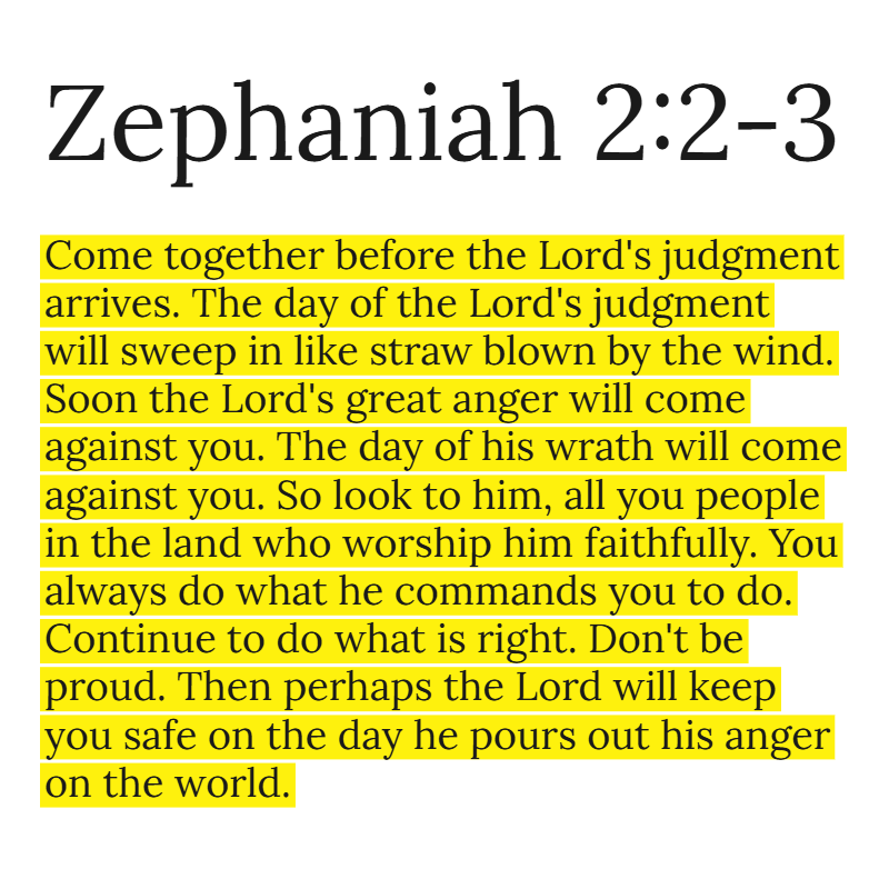 Holy Bible tweet media