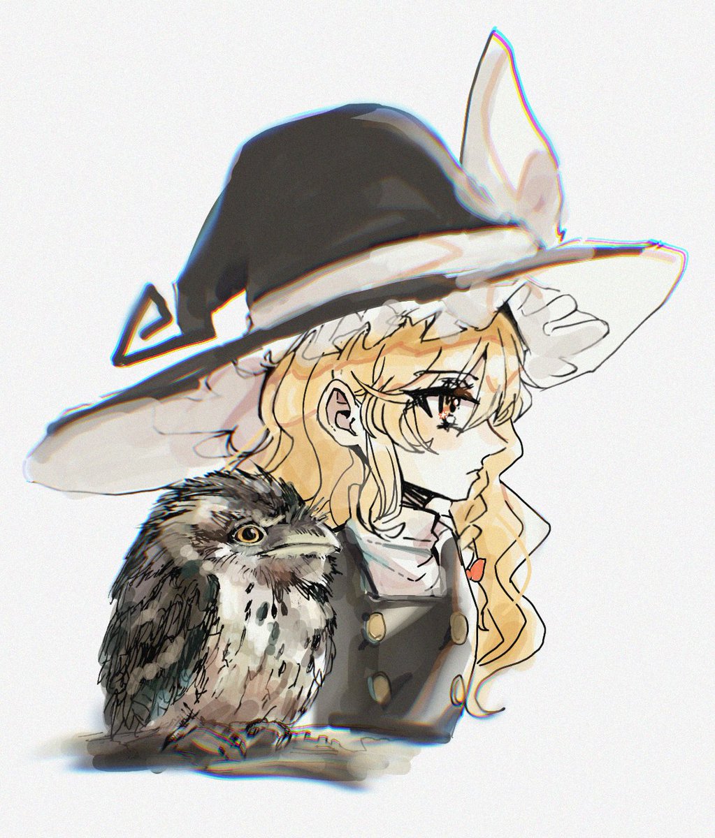 Virgo135_'s tweet photo. #東方Project #霧雨魔理沙 
好きな夜鷹／オーストラリアガマグチヨタカ https://t.co/BQe1NyTwPX