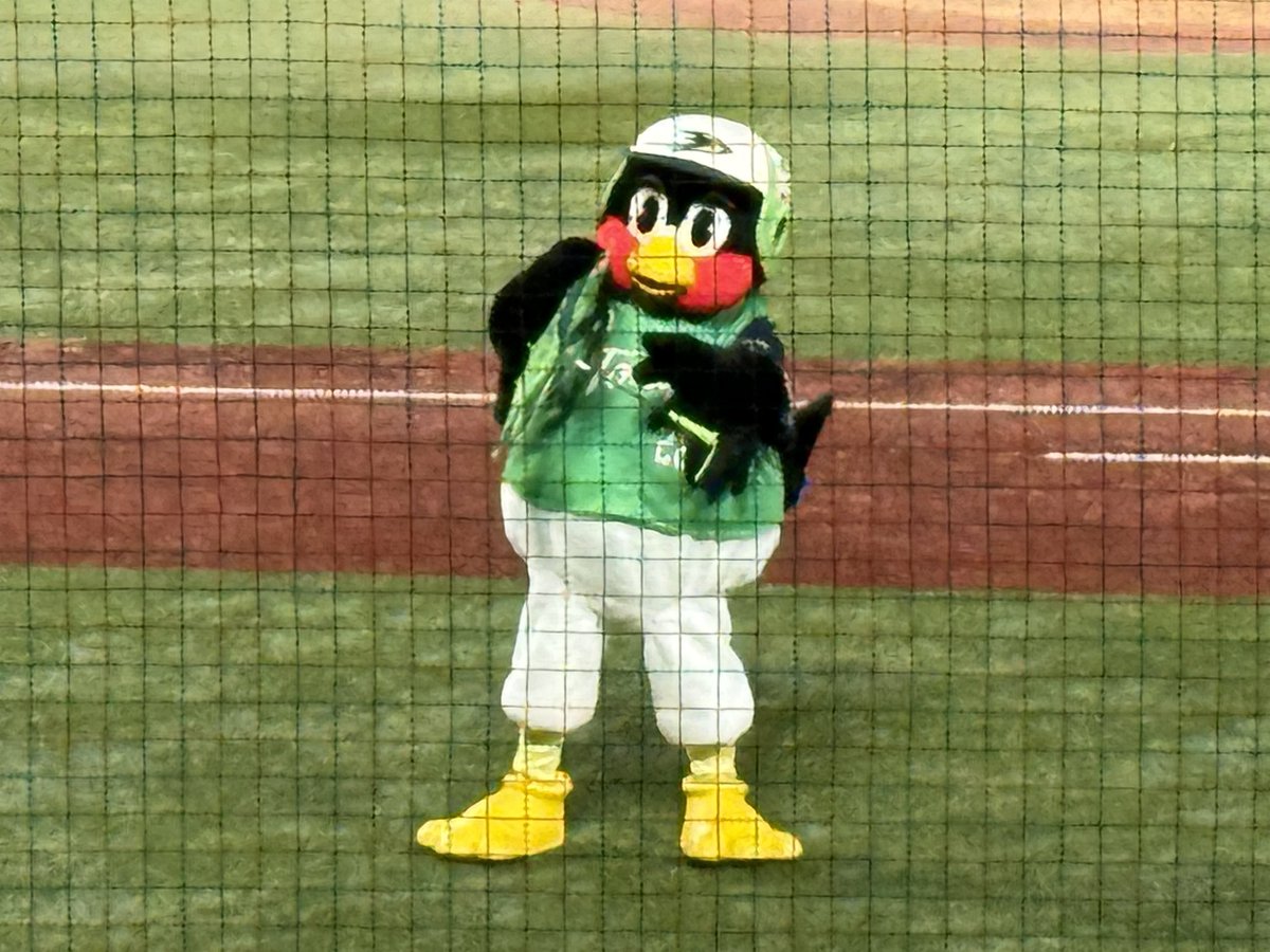 tsuyakun's tweet photo. 現地すわほー⛱️⛱️⛱️⛱️⛱️
たまには内野席で…と思い、数年ぶりに内野で観戦。
選手が近くていいね👍
しかし、終盤の点の取り合いは、精神的に良くない💦
しかも、周りに読売ファンがわりと多くて、少し���ラッと…。
勝って良かったぁ😮‍💨
次回は外野席で応燕します！
#燕心全開
#swallows https://t.co/eJVXBcTXgT
