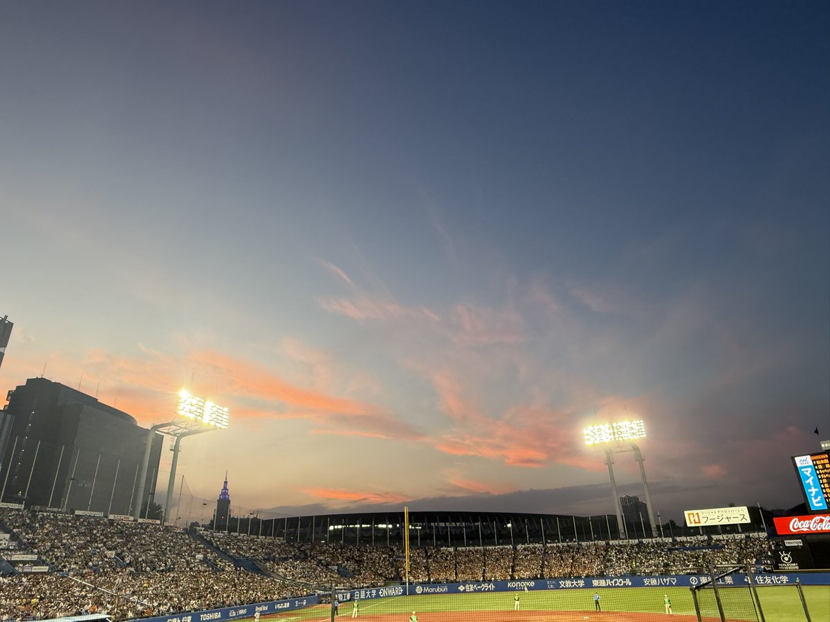 tsuyakun's tweet photo. 現地すわほー⛱️⛱️⛱️⛱️⛱️
たまには内野席で…と思い、数年ぶりに内野で観戦。
選手が近くていいね👍
しかし、終盤の点の取り合いは、精神的に良くない💦
しかも、周りに読売ファンがわりと多くて、少し���ラッと…。
勝って良かったぁ😮‍💨
次回は外野席で応燕します！
#燕心全開
#swallows https://t.co/eJVXBcTXgT