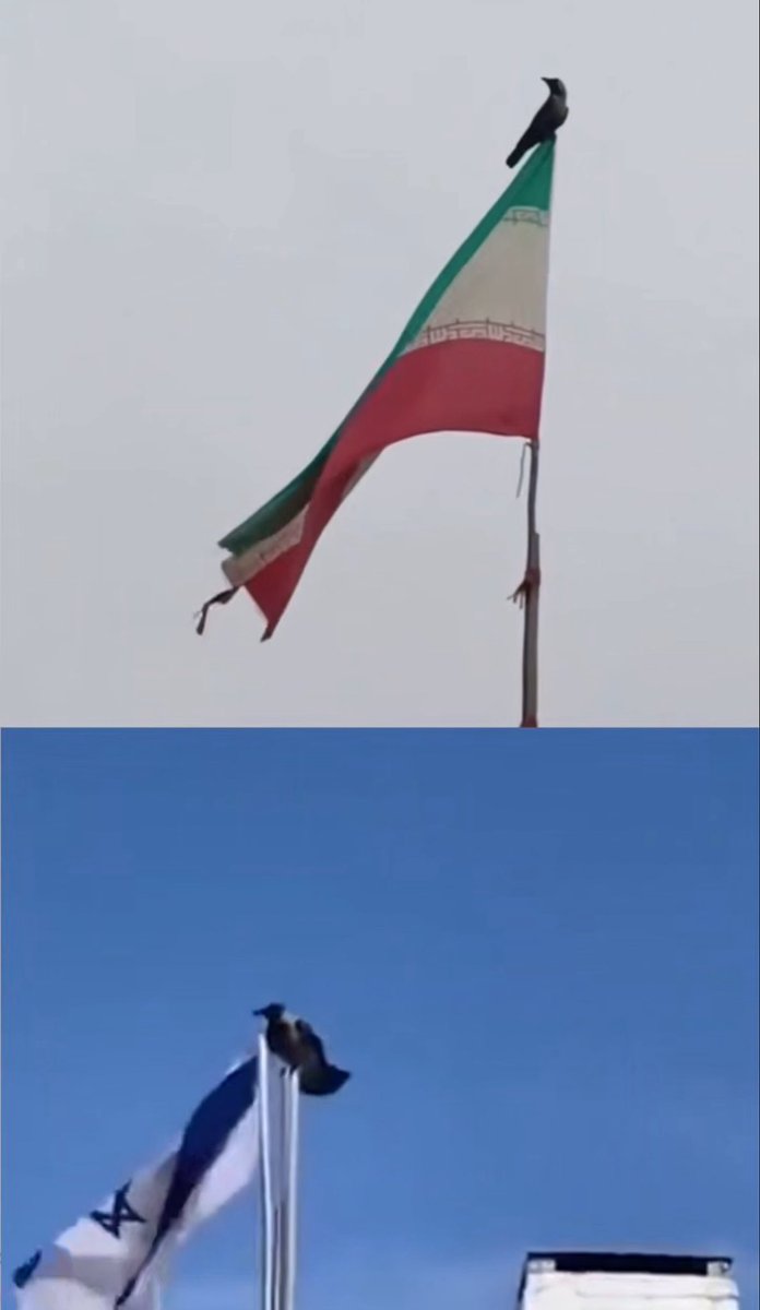 #ايران_معبد_ماست tweet media