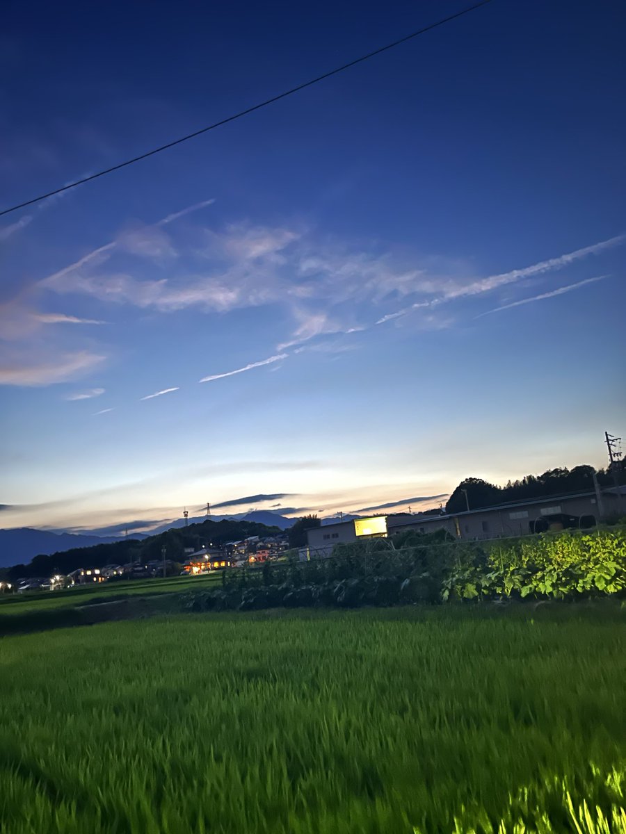_____pikkachan's tweet photo. いやしかし、稽古場の四西まで最寄りの駅から
てくてく歩いていた時に出会った景色、すごく良かったなあ。
素敵だなあ。
夏だ、青春だ。 https://t.co/jzBWOvLVHu
