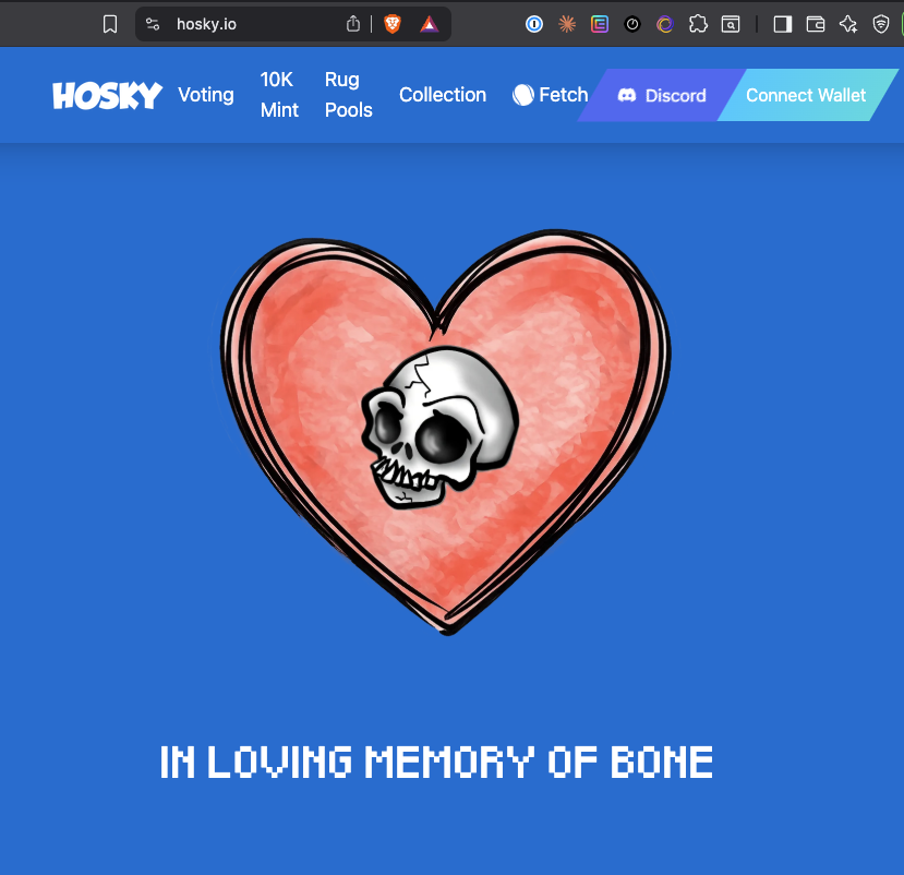 HOSKY tweet media