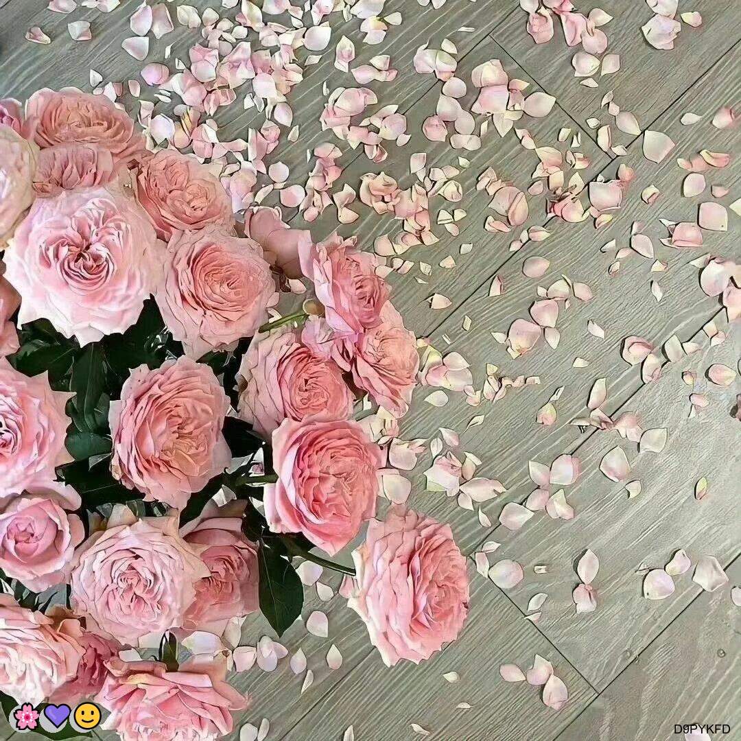 RubyKatrin49204's tweet photo. 🌟 😍 🤩 ❤️ 🌈 💯
😎窥阴😋巨乳🥳盯射🌈校园🥰叫爸爸🙌女菩萨🎉女大学生🔥萝莉🥳语音做爱👍白丝🙌寸止🤗淫妻

企鹅裙：1818089

X：@zhien52000

飞机：zuoyi1v1

裸聊/连麦/文爱/调教/寸止 https://t.co/lAdgnBWJzv