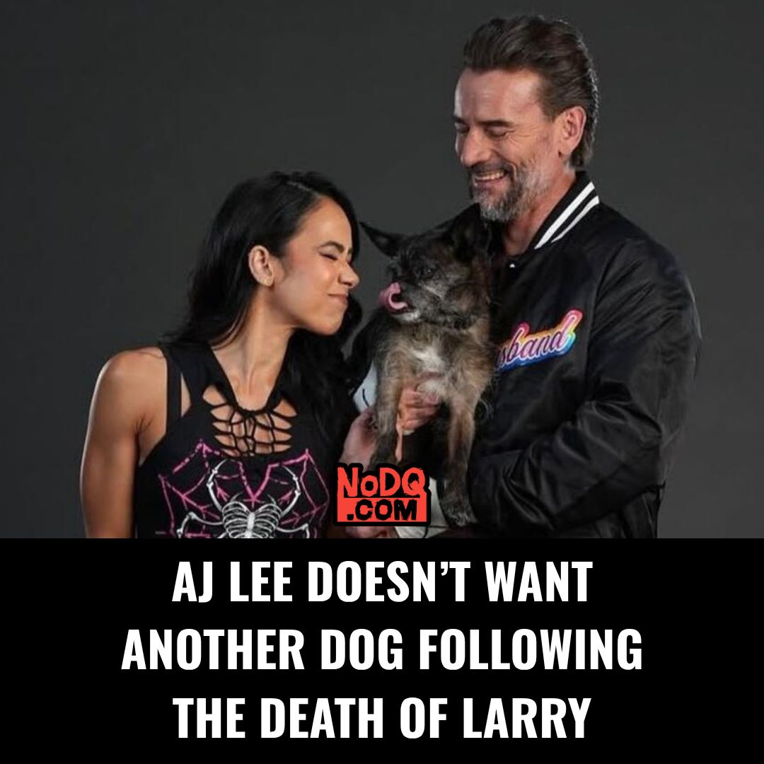 NoDQ.com: WWE and AEW news tweet media