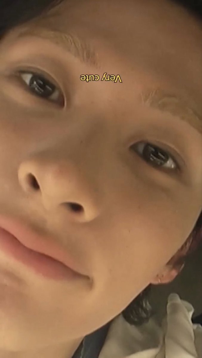 syongtoner's tweet photo. he has the round teeth of a friendly herbivore dino https://t.co/yB5phX9LVX