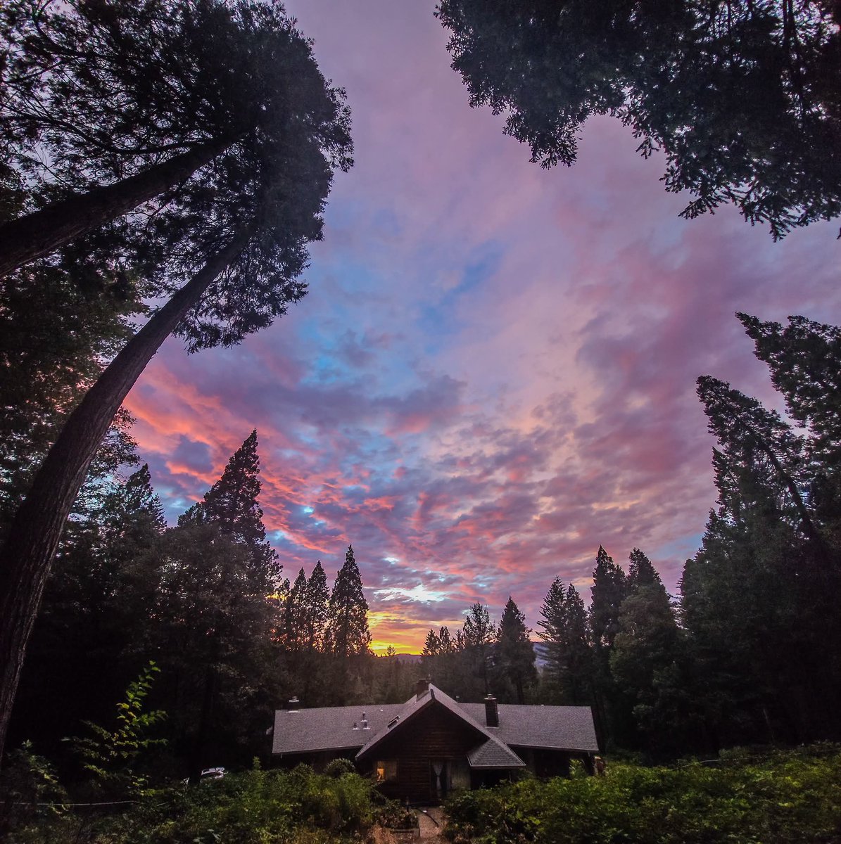 MAGAFJBGTFO's tweet photo. Last night's sunset 🌄 https://t.co/pbkjxUZt9W