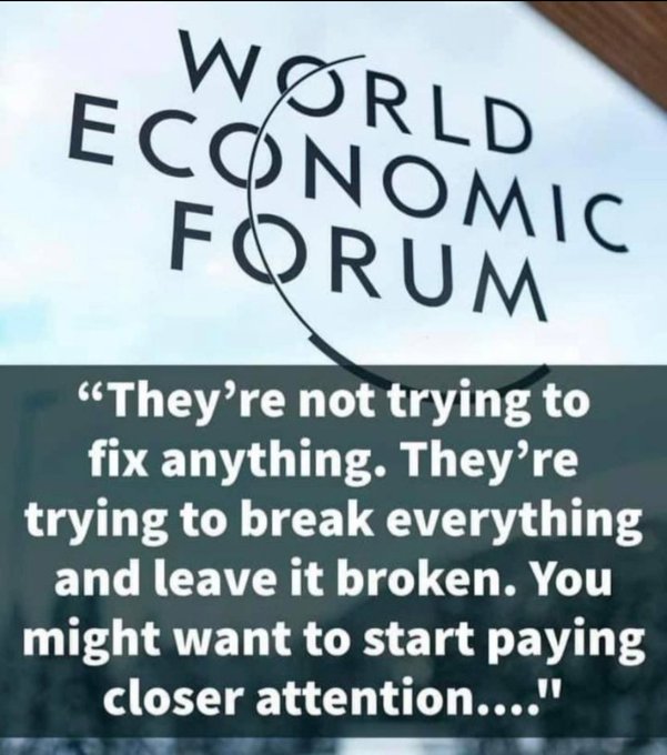 greeksinartcon1's tweet photo. #FREEDOMCRY LISTEN TO THE MASTER OF DICTATORSHIP #GATES.....
HE WANTED IT VIA #WHO, HE FAILED...
NOW HE SPONSORS WORLD WIDE #DIGITAL #IDS ALA #CHINA, WHERE YOU DO NOT WALK OUT OF YOUR CELL WITHOUT THE #COMMUNIST PARTY OF CHINA= THE DICTATORS KNOWING ABOUT IT...
OPEN AIR JAIL FOLKS IS WHAT THESE DICTATORS WORKING ON.... #CHINA REPLICA.....