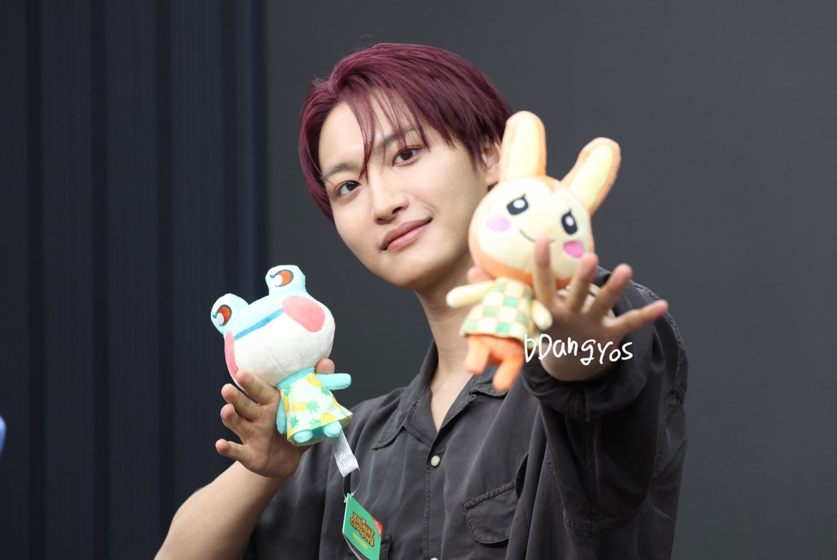 DDANGYOS's tweet photo. 260714 dear my muse  

animal crossing plushies for seonghwa 

#ATEEZ #에이티즈 #성화 #SEONGHWA https://t.co/67mp0KCCsV