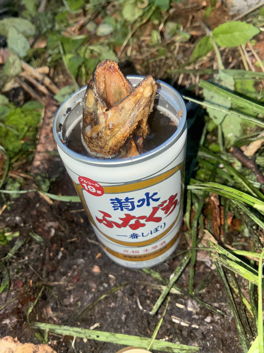 80974_'s tweet photo. 30分で釣果2匹
これがこうなった！
謝罪のふなぐちで骨酒 https://t.co/7Bxif2Zz5W