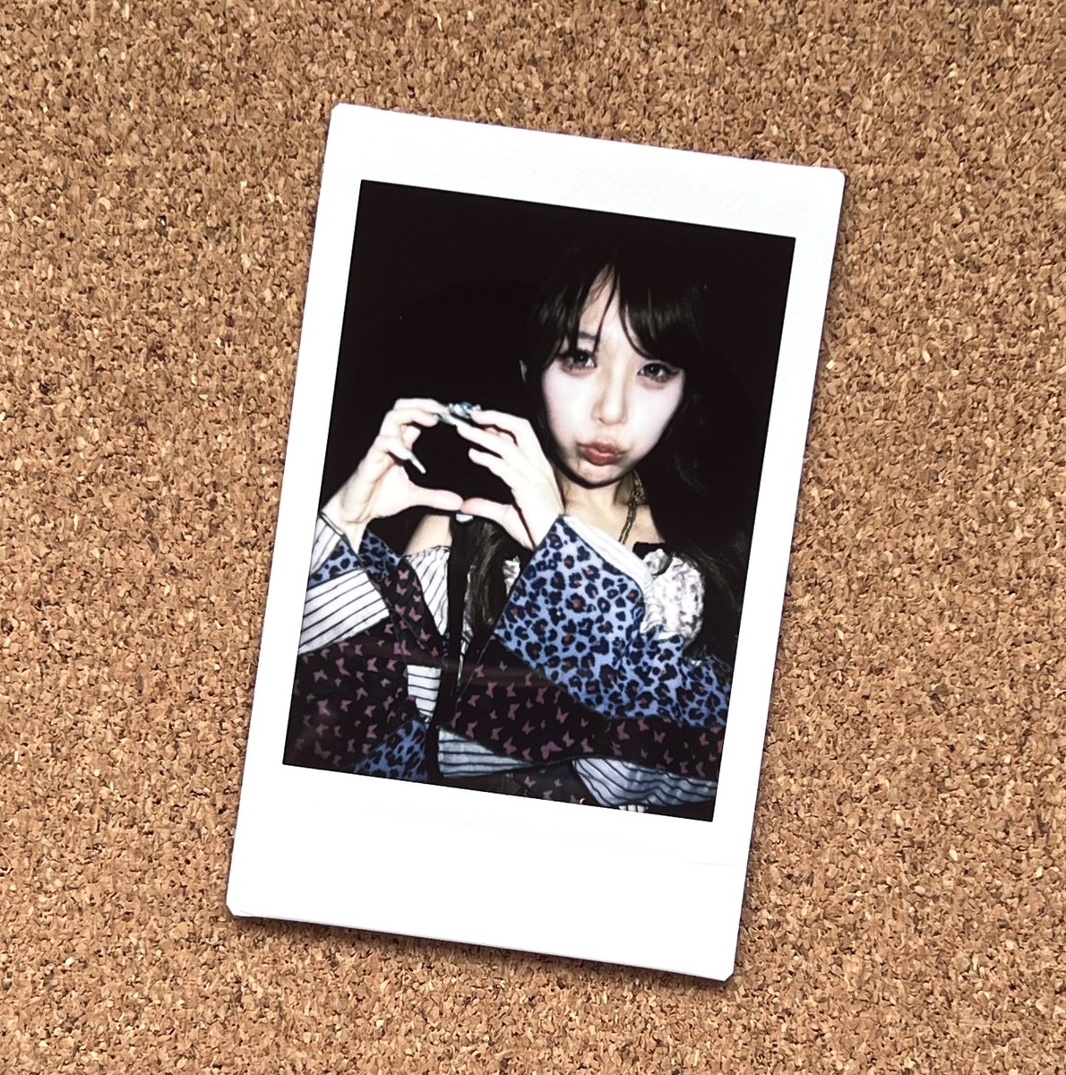 akodon_emoa's tweet photo. ゆさん🔮（🍩 https://t.co/5VMNMS0uvI