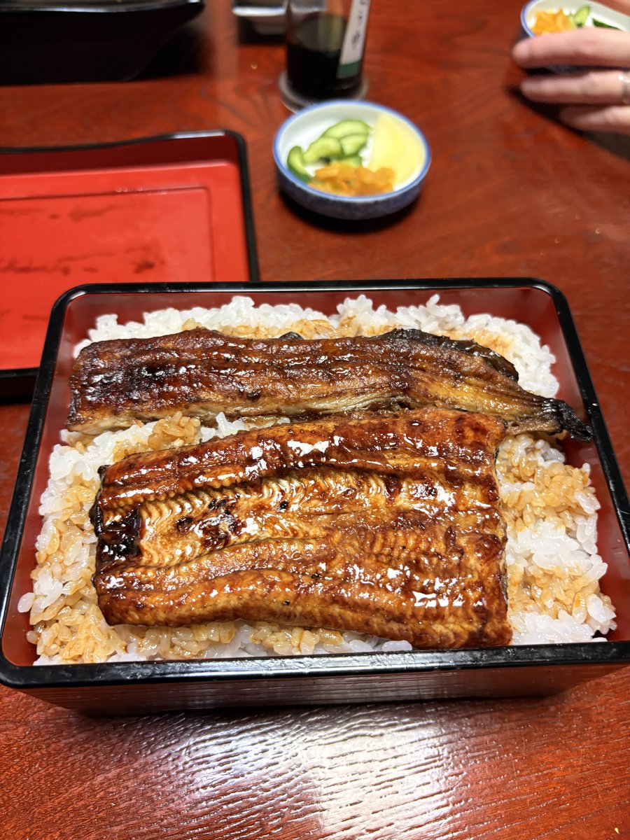 om_ktmRc's tweet photo. 3年越しの静岡凸したらうなぎごちしてもらうを達成した
ありがとう山本 https://t.co/fzHjhyxZQd
