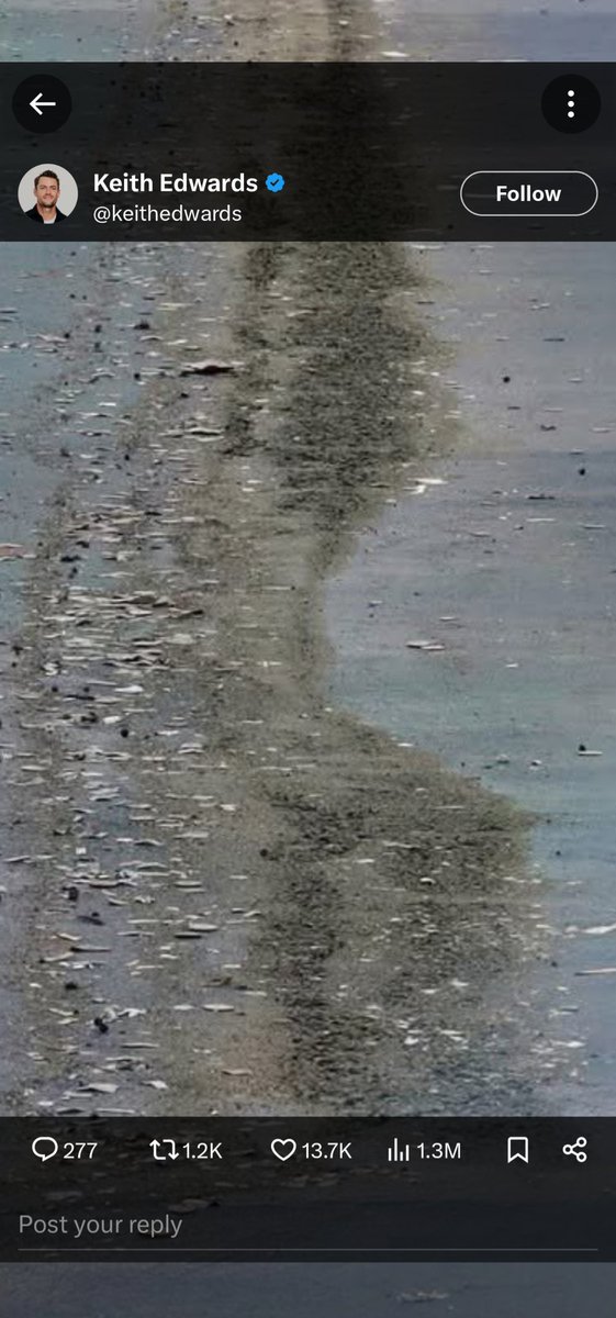 Hoglitosis's tweet photo. @bourscheid "Tire tracks" zoomed in; https://t.co/uBO3UoKUf1