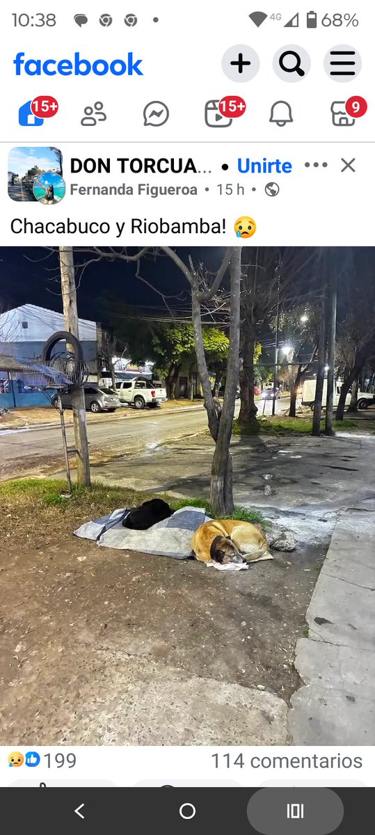 ALEXIANA777's tweet photo. Muertos de frio dos abuelitos 😥😥😥😥😧😧😦🙏🙏🤨🤨😡😡😡😡 @elcampito @OMFA_Refugio @lasrenatasok @refuasis https://t.co/SKILlVxwl1