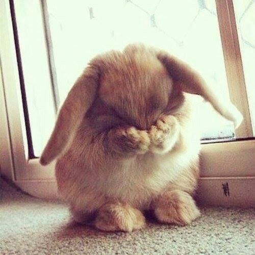 sea🐰ྀི tweet media