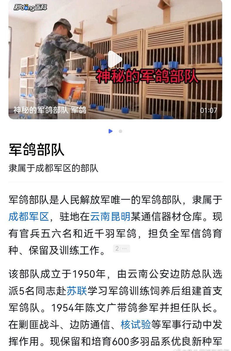我是梦嫣❤️ tweet media