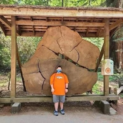 delbertpage55's tweet photo. #NewProfilePic https://t.co/chX7NxTvA0