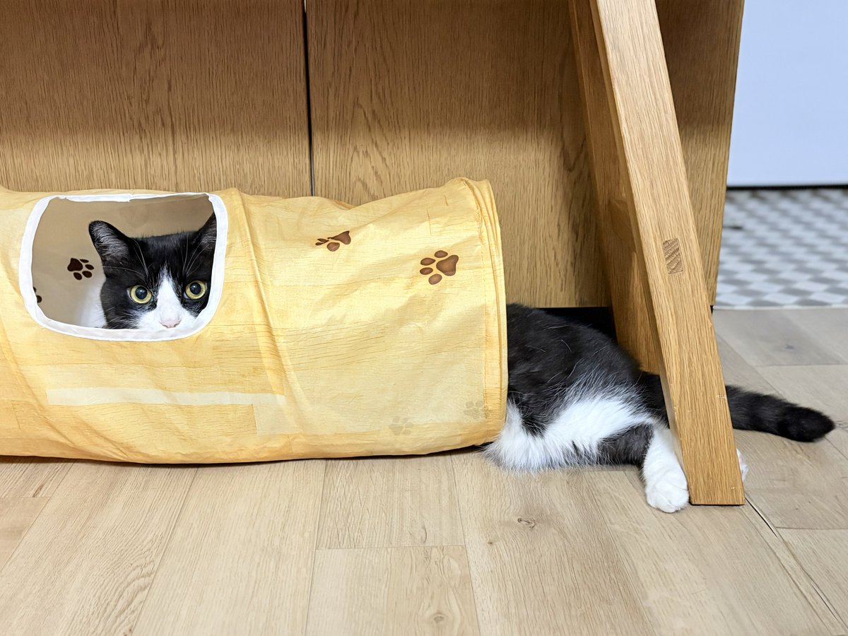 sympa0610's tweet photo. 目が合いましたね https://t.co/o7HfGVU15t