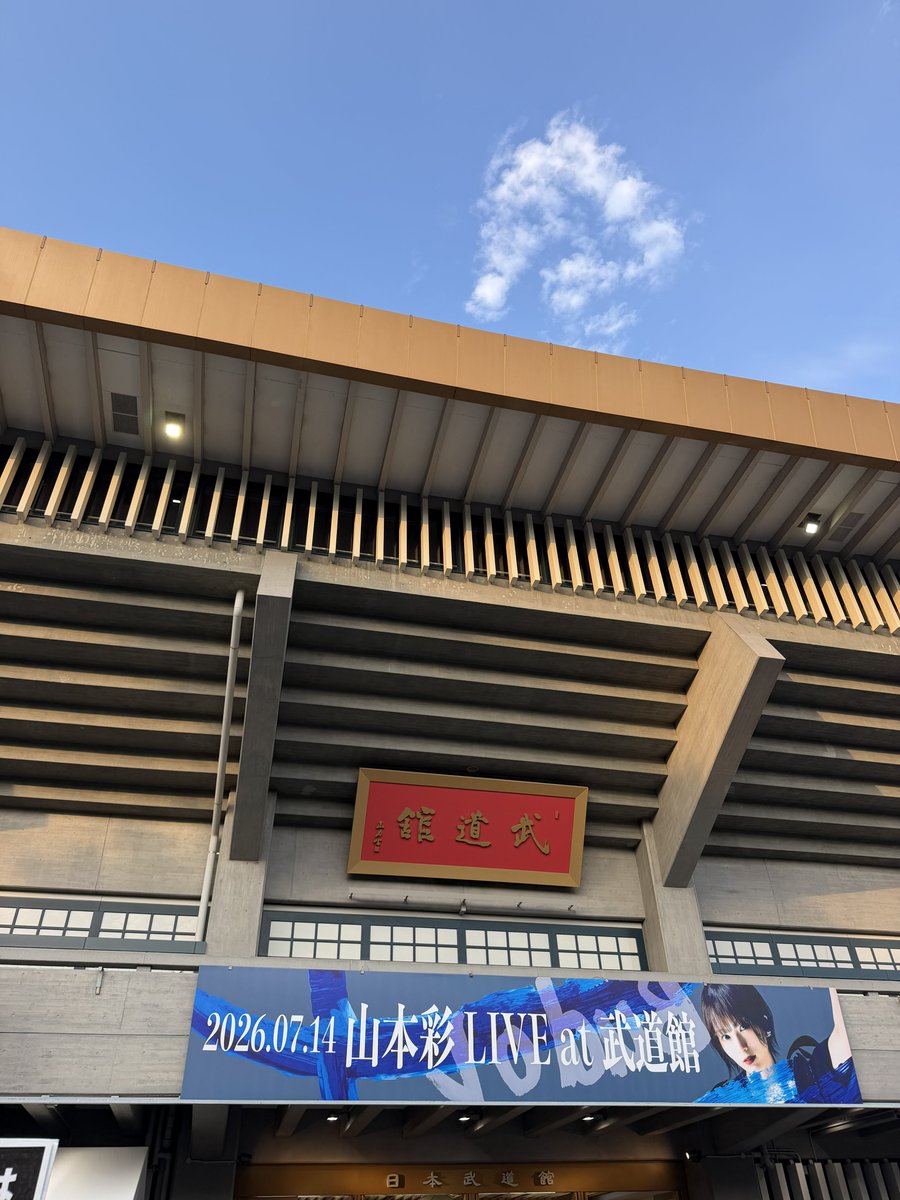 山本 杏奈 tweet media
