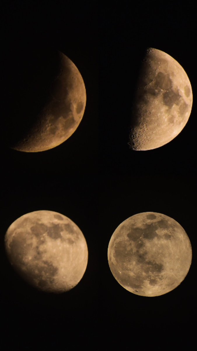 Herbe_or_smt's tweet photo. Would you believe me that I took these photos. They’re compiled😭
#Photobyme https://t.co/fTlqdXpAzY