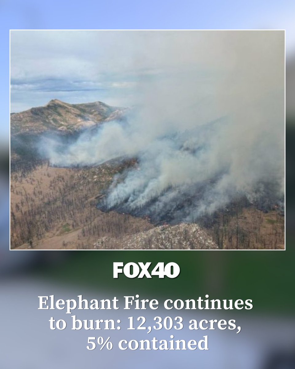 FOX40 News tweet media