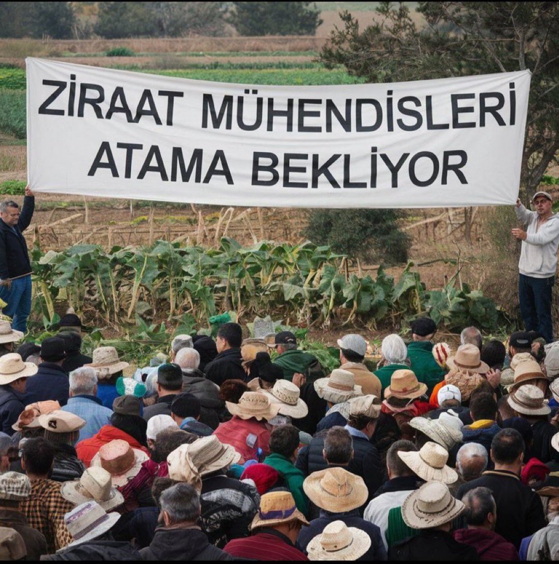 eliifkmm's tweet photo. Sn. Bakanım İki buçuk yıldır personel alımı bekliyoruz. REKOR sayıda atama bekliyoruz🙏🏻#ZiraatmühendisleriAtamaBekliyor 

@ibrahimyumakli @Seyfullahaslntk @kerimgullu07 @tarimormanpgm @TCTarim @HMBakanligi @HmbSosyalMedya @memetsimsek @RTErdogan @bekirgizligider @AhmetGumen https://t.co/46JPPTII70