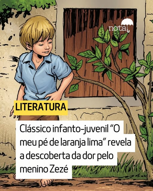 jornalnota's tweet photo. LITERATURA! 🚨O clássico infanto-juvenil “O meu pé de laranja lima”, de José Mauro de Vasconcelos, publicado em 1968, consagrou-se como um dos livros mais vendidos, totalizando mais de 2 milhões de exemplares e mais de 150 edições. Além disso, foi traduzido para 15 idiomas e adaptado para teatro, televisão e cinema.

O livro conta a história do menino Zezé, de 5 anos, que desde cedo tem que aprender a lidar com as adversidades como a miséria e a violência doméstica. Quando o pai perde o emprego e a mãe começa a trabalhar fora, a família é obrigada a se mudar para um lugar mais humilde.

Ele vive sob os cuidados das irmãs mais velhas e, durante o dia, sai para engraxar sapatos com o irmão mais velho na tentativa de trazer algum trocado para ajudar a família.

Esperto e travesso, Zezé estava sempre inventando brincadeiras e arrumando confusão, alguns até diziam que ele “tinha o diabo no sangue”, por isso, várias vezes, apanhava do pai e do irmão mais velho, Totoca. Ainda assim, causa surpresa ao aprender a ler sozinho.

Leia a matéria completa:
https://t.co/VOTJCz0yfh