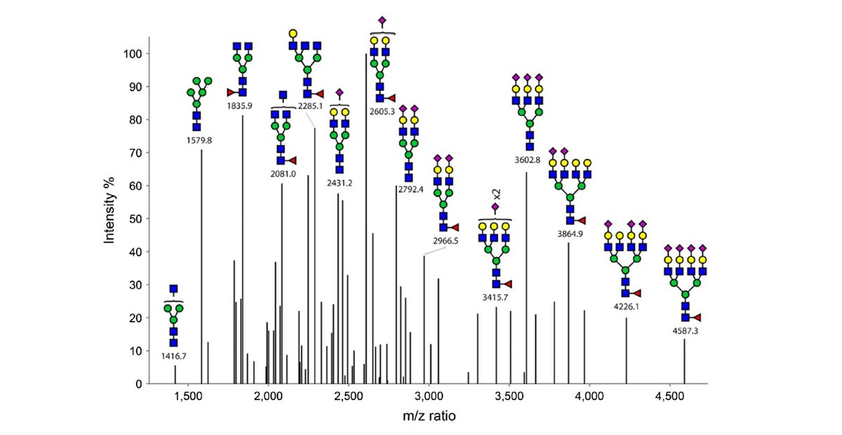 CCRCUGA's tweet photo. Our collaboration with Michael Betenbaugh from John Hopkins University has resulted in a publication on glycoengineering rHuBChE for improved therapeutic potential against organophosphate poisoning. 
Congratulations to all!
https://t.co/3m6ADAZnti
#glycotime #Glycomics #CCRC https://t.co/A5EiHyHvpB