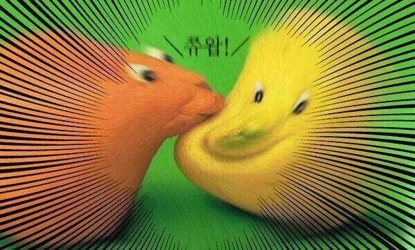 바보 tweet media