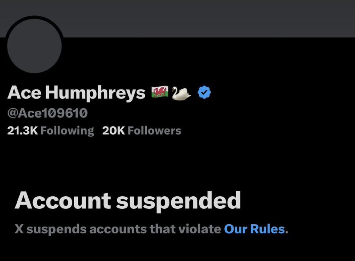 𝗛𝗮𝗻𝗻𝗶𝗯𝗮𝗹 𝗦𝗰𝗼𝗿𝗰𝗵 tweet media