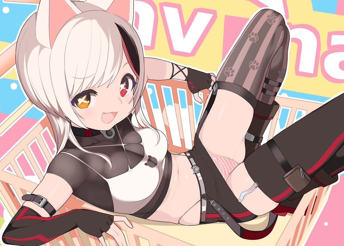 PetCat810 tweet picture