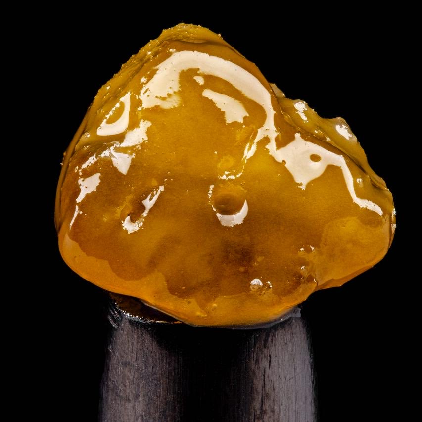 NiftyMinistry's tweet photo. #cannabis #hash #frozen #static #terpz #terpenes #weed #indica #sativa #indoorgrow #marseille #amsterdam #barcelone #coffeeshop #cannabisclub #caliplate #extract #rosin #piatella #concentrate #stoner #high #kush #haze #ganja #marijuana #flower #thc #strain #420life #cannabislife https://t.co/RT3IrfVojP
