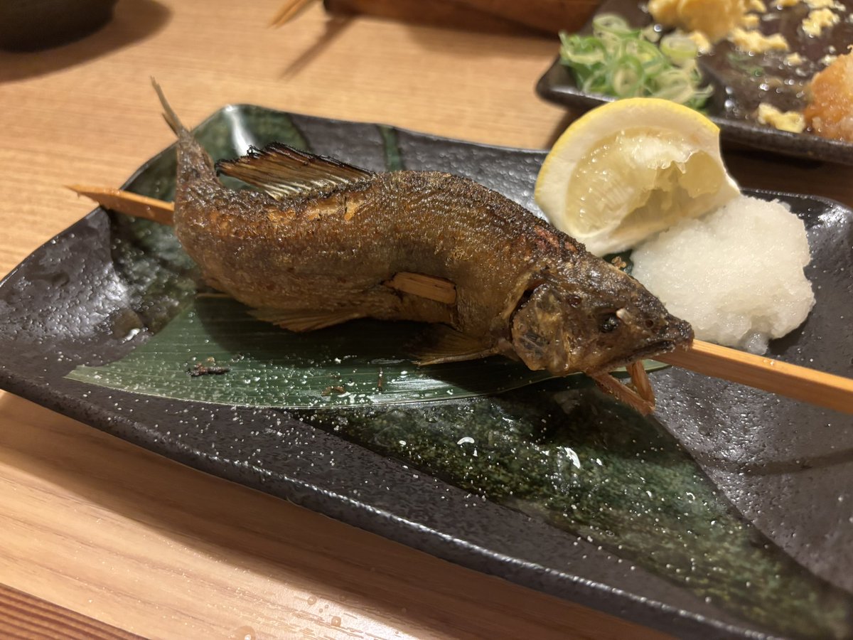 gy_gotchi's tweet photo. こーゆうの人生で一回は食べてみたかったんよね🐟🔥 https://t.co/h5aUfmqKDs