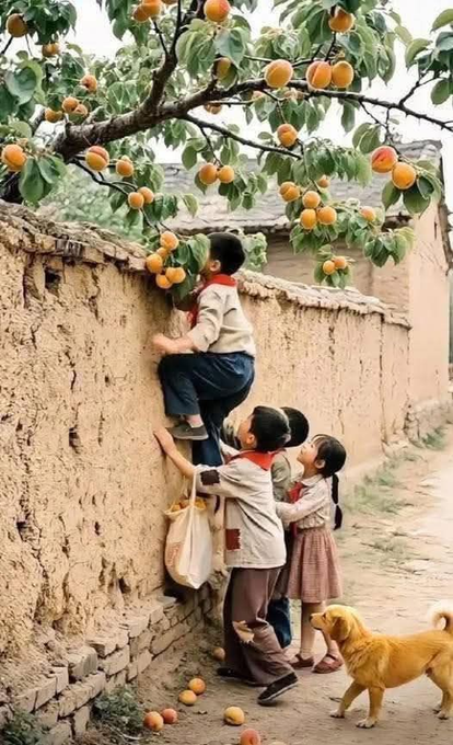 🌼 tweet media