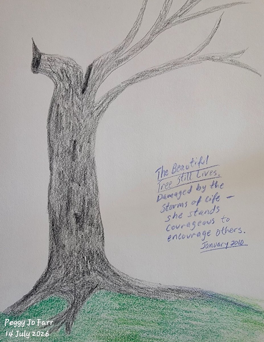 PeggyJoFarr2's tweet photo. a bare tree, tall stance
symbol of resilience
dormancy, new growth
PJFarr
2026
##dailyhaikuprompt (bare tree)
#haiku
#poetrycommunity
#twitterpoets https://t.co/fiPCyjF7By