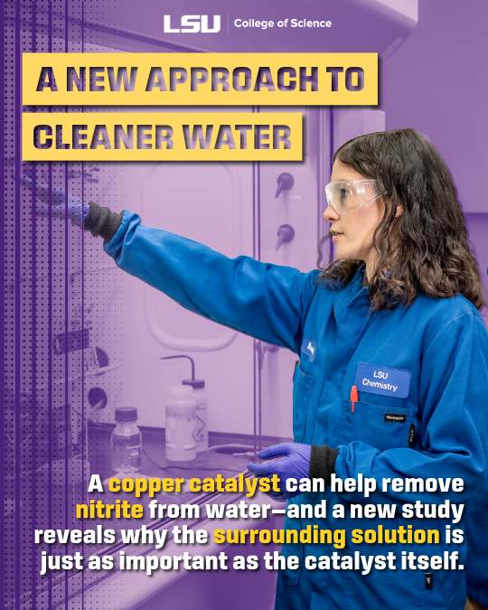 LSU College of Science tweet media