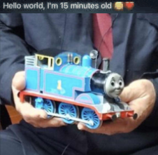 swinefinder's tweet photo. oh thats plastic thomas... https://t.co/54kA8UfyCm