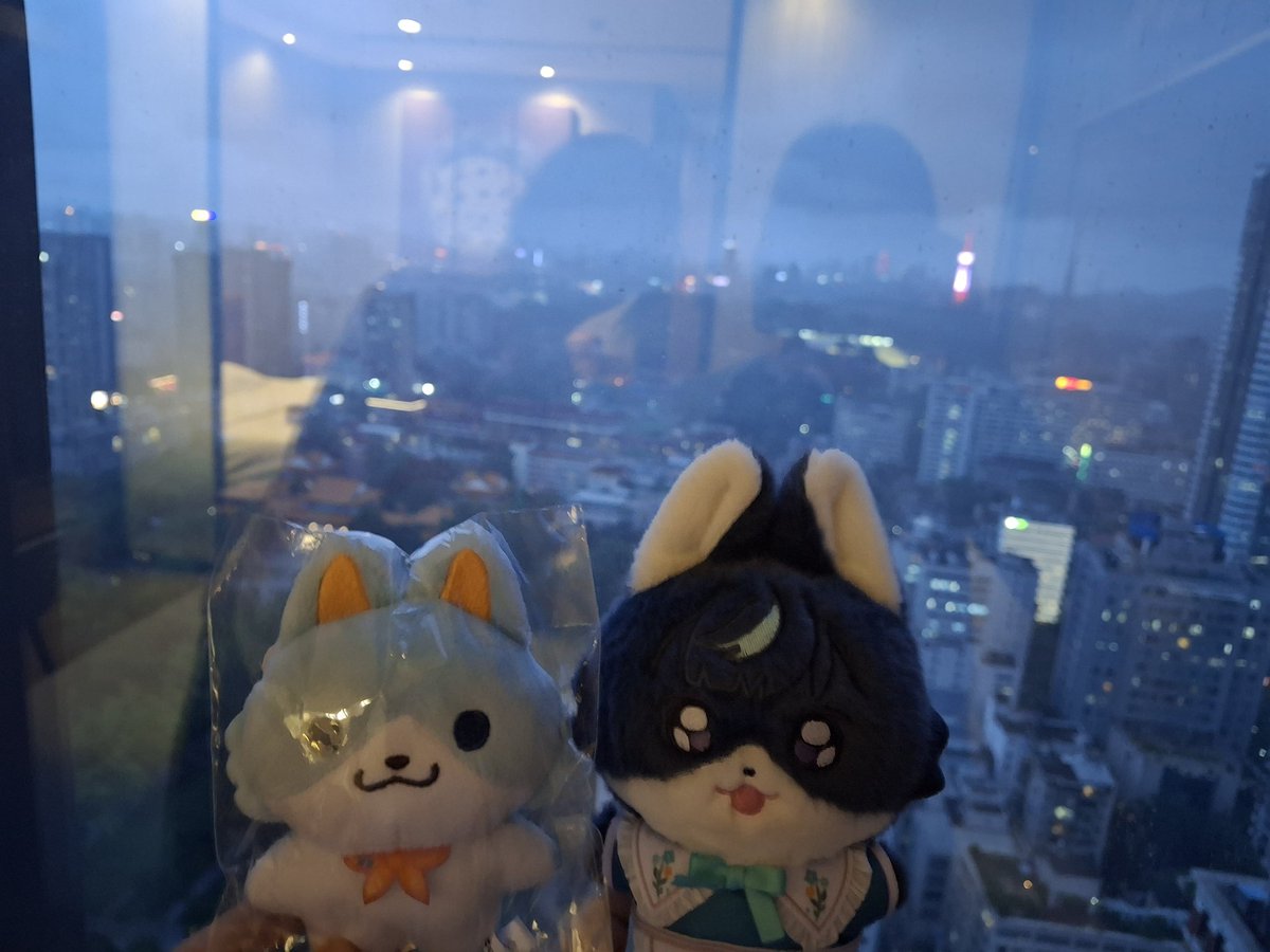 tuji310's tweet photo. 大概是異父異母的兄弟 https://t.co/dlYiXFrnXM