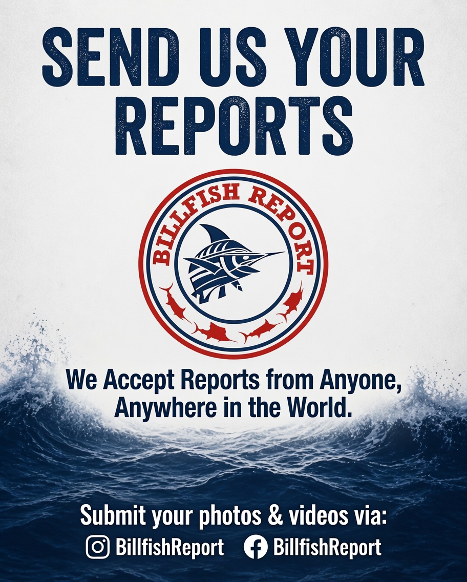Billfish Report tweet media