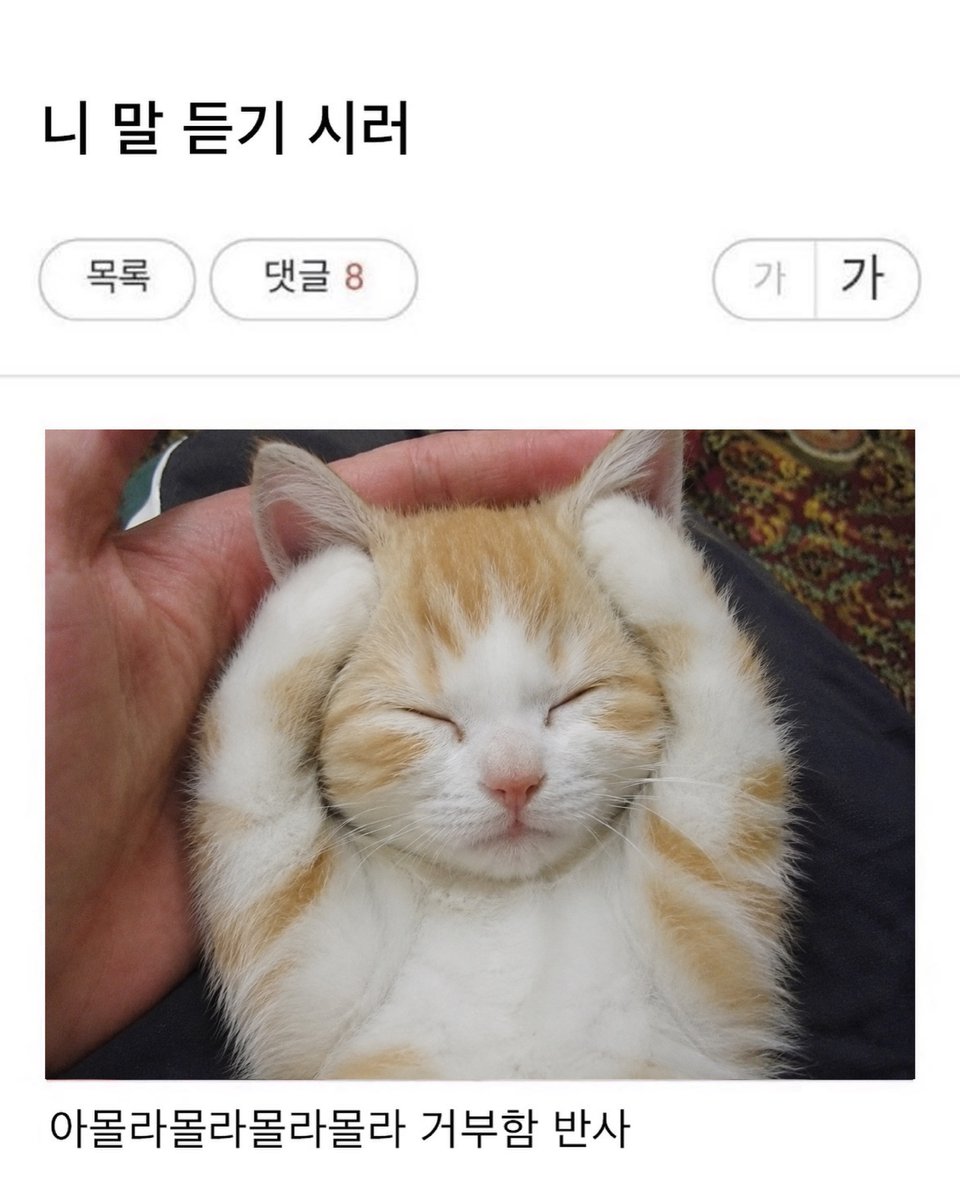 No Cats No Life tweet media