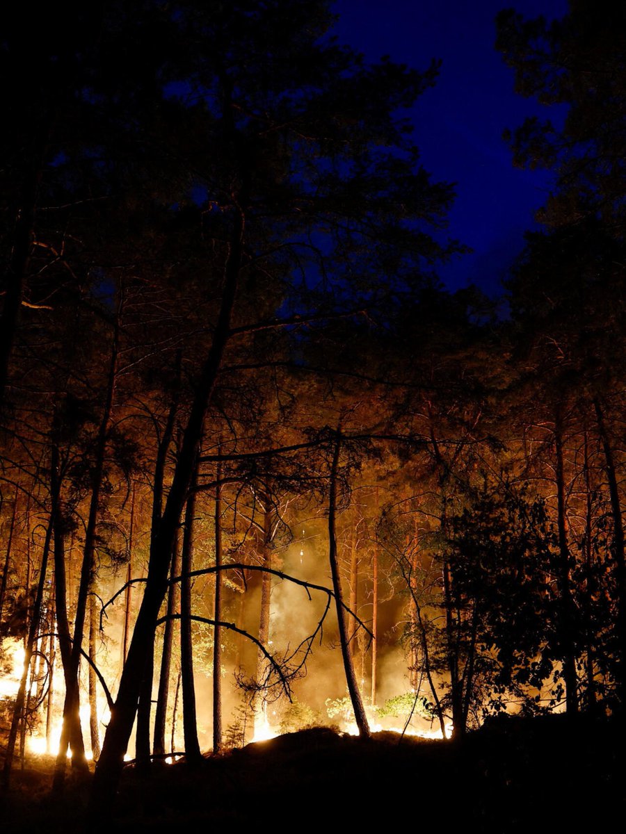 ShadesFrance's tweet photo. 🚨Deux suspects ont RECONNU être à l’origine de L’INCENDIE de FONTAINEBLEAU 🌳

L’un est SAPEUR POMPIER et reconnaît avoir enflammé des brindilles à l’aide D’ESSENCE et d’un BRIQUET, tandis que l’autre assume avoir provoqué le feu en jetant sa CIGARETTE. https://t.co/uCTF9K8gVi