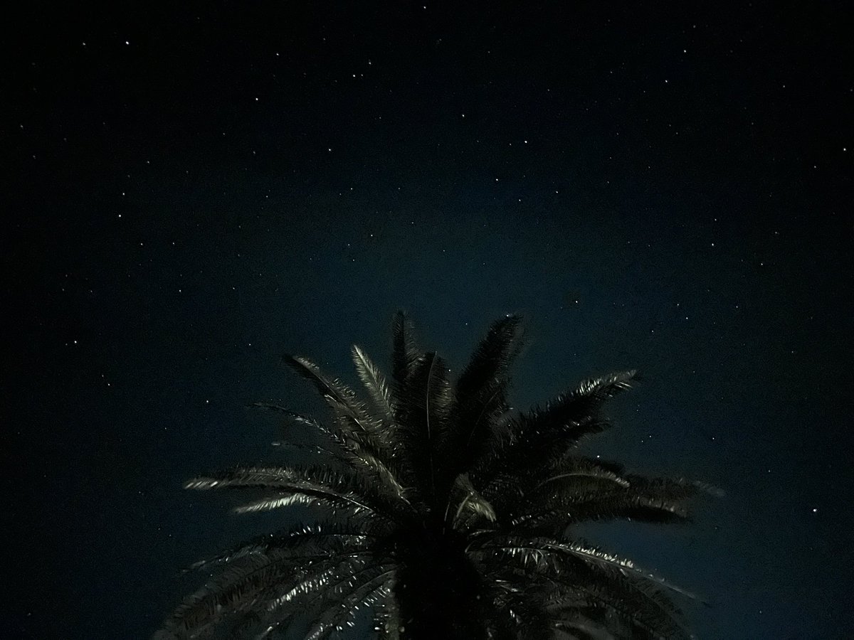 spoon_0818's tweet photo. 宮崎旅行。星がきれいすぎるよ https://t.co/Wol2H2rIm3