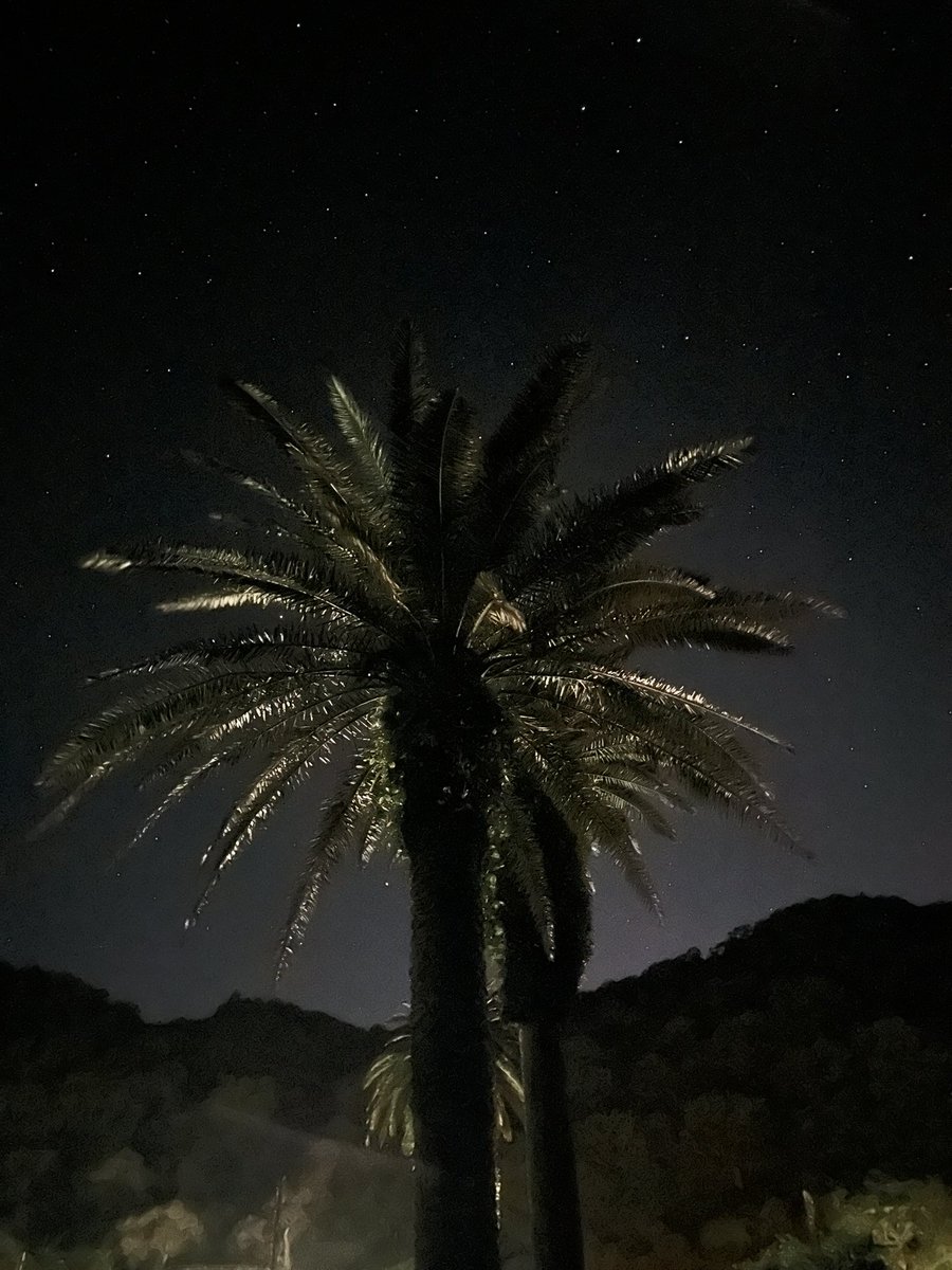 spoon_0818's tweet photo. 宮崎旅行。星がきれいすぎるよ https://t.co/Wol2H2rIm3