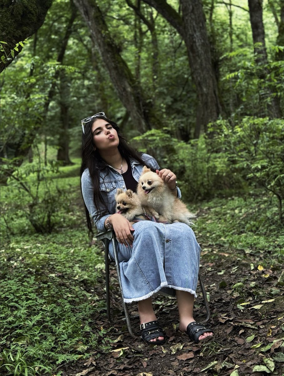 setawz0's tweet photo. 🌳💚🐾 https://t.co/4vqdEecW67