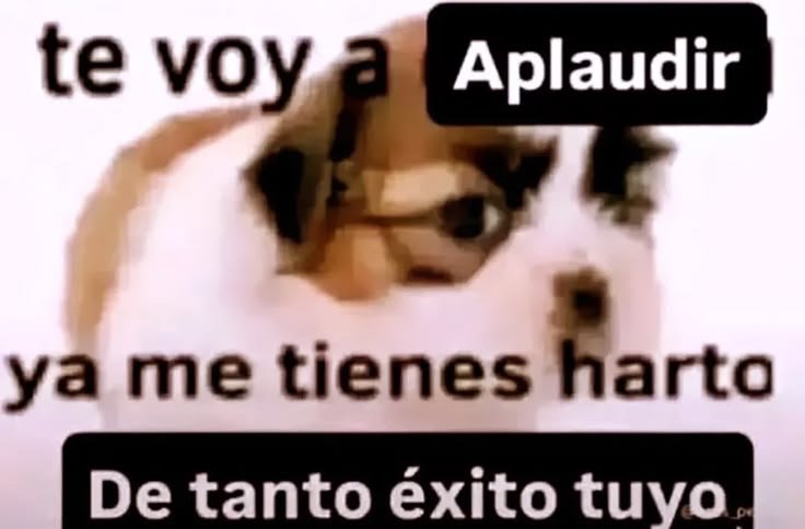 Josya2222's tweet photo. @BetsoRex @Xherry3nkel @Duxorethey Tmr betsy, ya estoy harto de tanto exito tuyo (que hermoso dibujo por cierto) https://t.co/NKzLfCsWK7