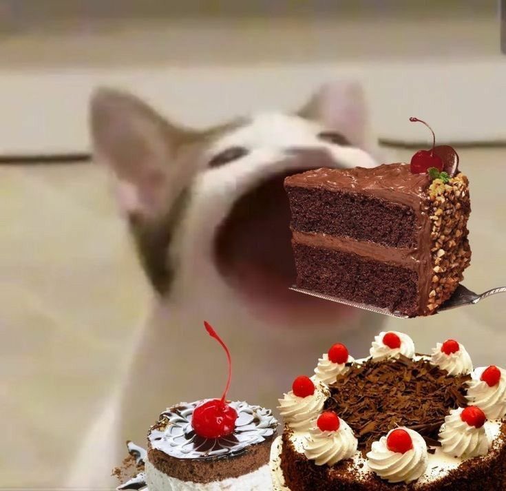 u7i6a8i6's tweet photo. @jabgokbabb 제눈엔다소이렇게보이네여 https://t.co/NAOYV20Y2p