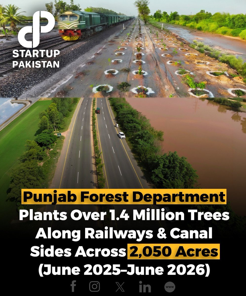 Startup Pakistan tweet media