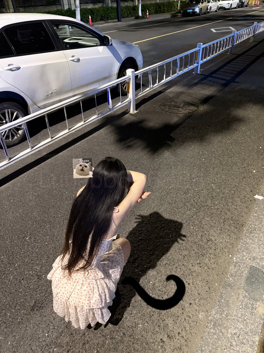 babyluna520's tweet photo. 如果我和你的猫咪一起掉进水里 救我还是猫咪🐈 https://t.co/xRP6nQ93gz